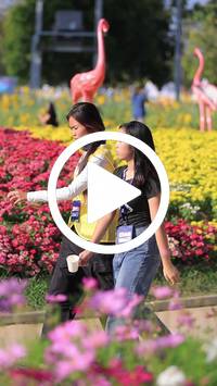 BIB:  <button type="button" onclick="openModal(27588464)" class="btn btn-primary btn-sm float-right" data-toggle="modal" data-target=".modal-high-quality">
                <i class="fa fa-download"></i> Download
                </button>